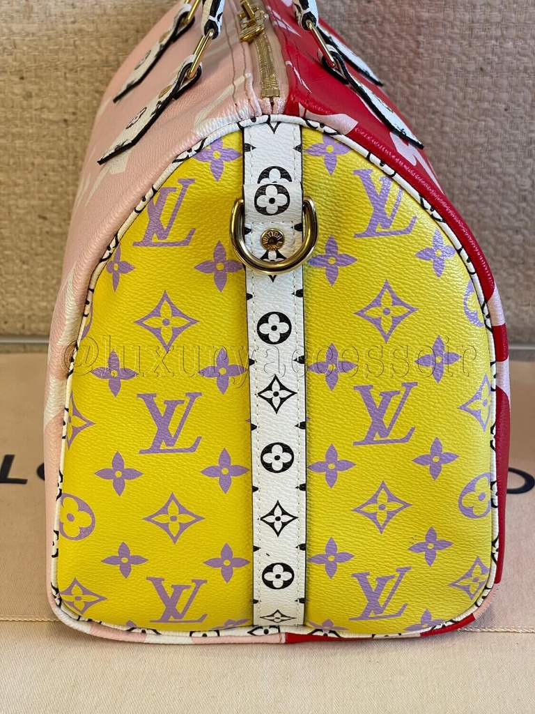 100 Louis Vuitton Speedy Limited Edition 2019 Giant red